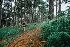 BIB: 
                            <button type="button" onclick="openModal(25689289)" class="btn btn-primary btn-sm float-right btn-popup" data-toggle="modal" data-target=".modal-high-quality">
                        <i class="fas fa-shopping-cart"></i> Add to Cart
                    </button>
                                            <button type="button" onclick="isThisMe(25689289, true)" class="btn btn-success btn-sm float-right btn-popup btn-isme hidden" data-toggle="tooltip" data-placement="bottom" title="นี่คือรูปของคุณใช่ไหม คลิกที่นี่เพื่อเอาเข้าอัลบั้ม">
                        <i class="fas fa-plus"></i> Add to album
                    </button>
                    <button type="button" onclick="isThisMe(25689289, false)" class="btn btn-warning btn-sm float-right btn-popup btn-isnotme hidden">
                        <i class="fas fa-ban"></i> Remove from album
                    </button>